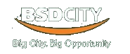 BSD City